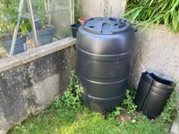 Gardening with Martin Pallett: Leaving some space for weeds