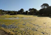 Complaints boating lake has turned into a swamp