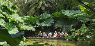 Become a plant hunter at tourist attraction
