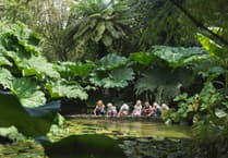 Become a plant hunter at tourist attraction in Cornwall this summer
