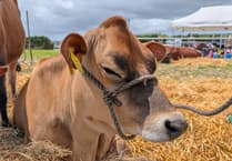 Perfect weather shines on the 191st Stithians Show