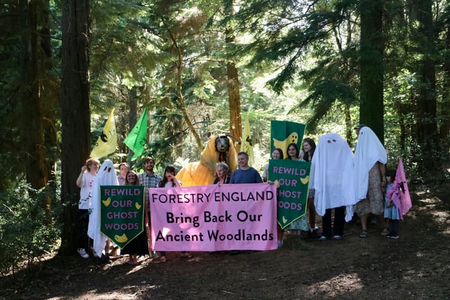 Call for Truro’s ‘ghost woods’ to be revived 