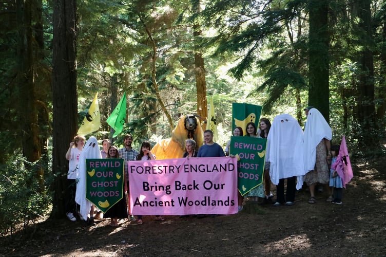 Campaigners at Idless Woods near Truro