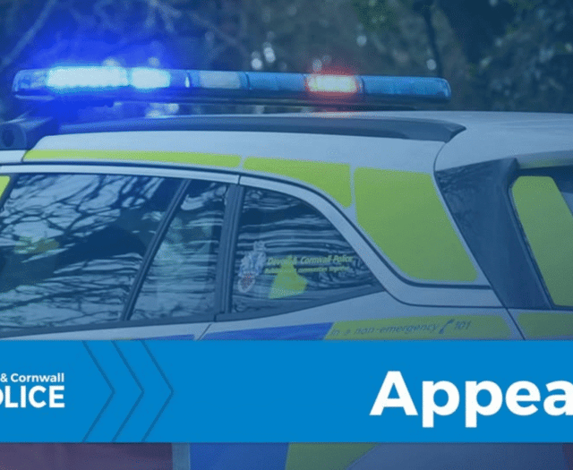 Police seek witnesses following alleged assault near Padstow