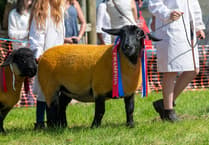 Show exhibitors warned to be vigilant amid animal virus risk
