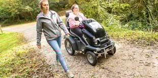 Cardinham Woods summer adventures