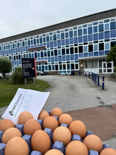 Camborne Science & International Academy partner with Cornhill Farm.