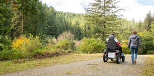 Half-term fun set to arrive at Cardinham Woods