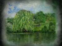Cornwall's iconic trees celebrated in new art exhibition 