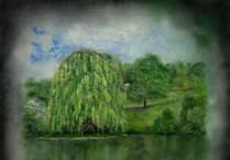 Cornwall's iconic trees celebrated in new art exhibition