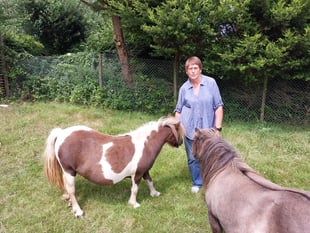 Police appeal for safe return of stolen foal 