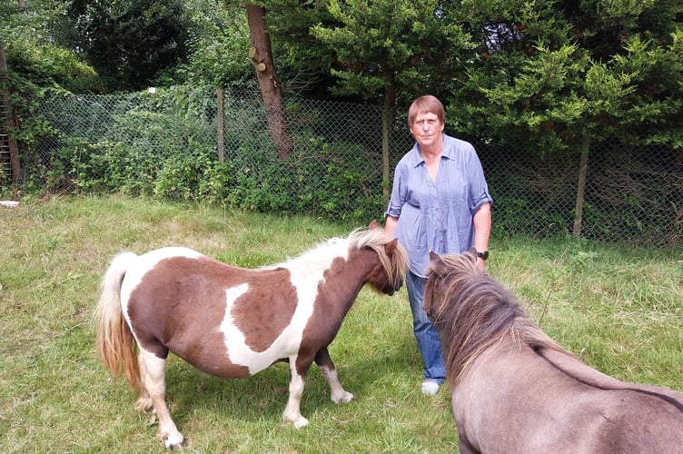 Smallholder Jean Curd with her Shetland ponies