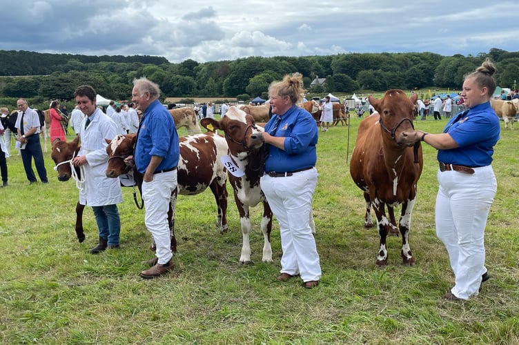 Camborne Show 2025 1.