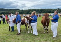 Camborne Show enjoys an impressive turnout at new location
