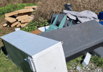 Man gets £1,000 fine for fly-tipping parts of his new bus