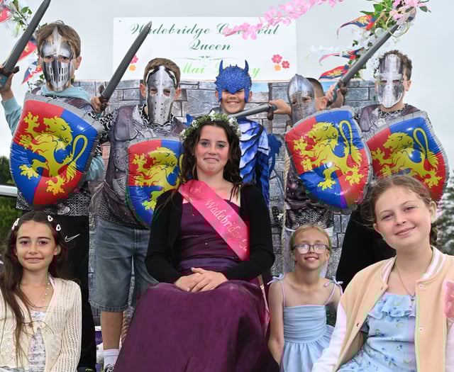 Wadebridge Carnival praised for success
