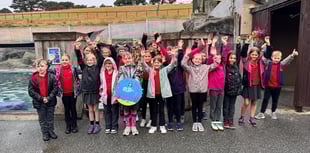 Young artists make their mark at seal sanctuary