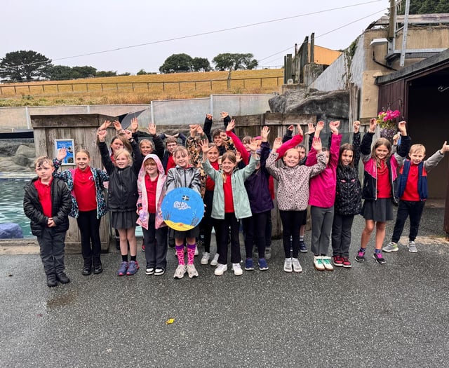 Young artists make their mark at seal sanctuary
