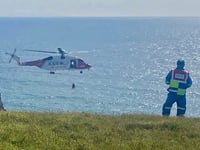 Casualty airlifted from remote beach after fall