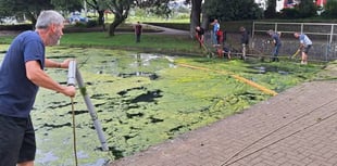 Algae bloom cleared from boating lake 