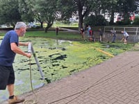 Algae bloom cleared from boating lake 