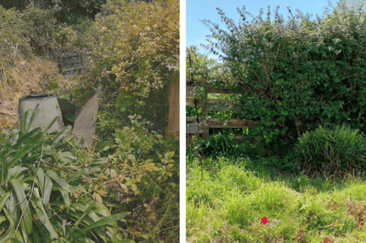 Hughes' gardening work.