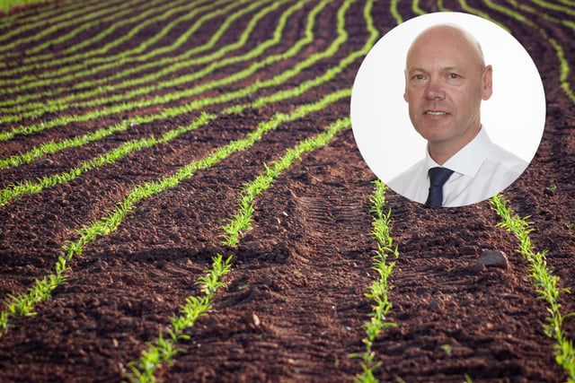 UK forage crops hit hard by heatwaves