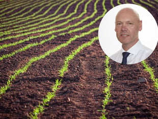 UK forage crops hit hard by heatwaves