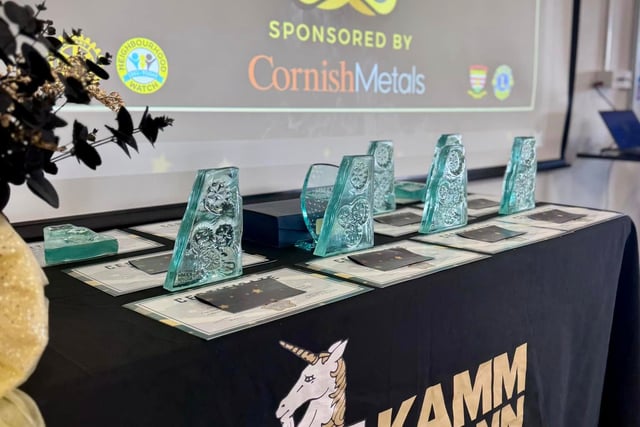Community heroes rewarded at awards ceremony in Camborne