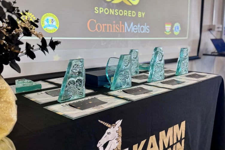 Trophies at Camborne Community Awards.