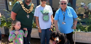 Lots of ‘a-paws’ after £500 raised for charity at dog show