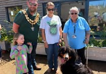 Lots of ‘a-paws’ after £500 raised for charity at dog show