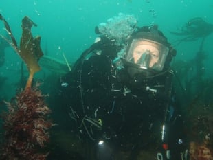 Dive survey to monitor vital kelp