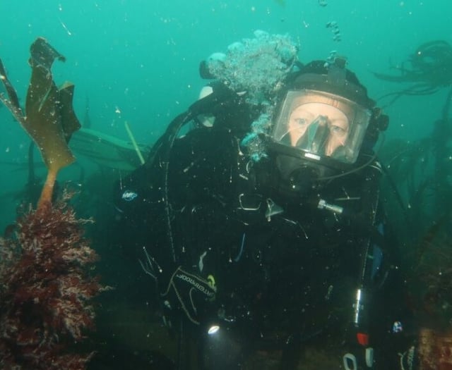Dive survey to monitor vital kelp