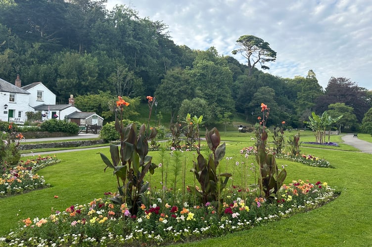 Beautiful summer bedding colour at Newquay Trenance gardens.
