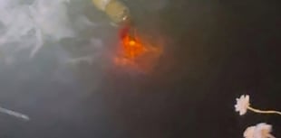 Coastguards probe Harlyn Bay lights
