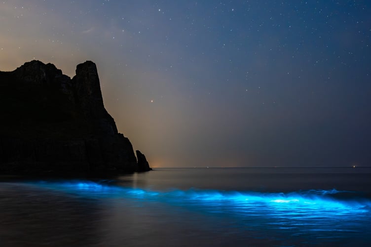 Incredible photos show bioluminescent plankton amidst the Milky Way. Richard Haynes, 58, captured the images at a popular cove on the Lizard Peninsula of southwest Cornwall, in the early hours on Tuesday 19 July. Richard, a keen amateur astrophotographer with an interest in outdoor pursuits and the environment, said he was first alerted to the presence of plankton at the cove when a photographer on holiday from Wales spotted it the previous night. 