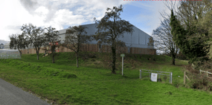Plans coming to fruition to plant orchard