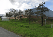 Plans coming to fruition to plant orchard