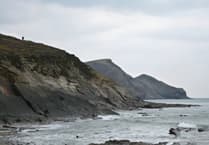 Cornwall Favourites: Crackington Haven is close to the highest cliff in the county