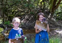 Schoolchildren name Heligan’s first beaver kits