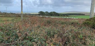 Land restored to West Cornwall common 