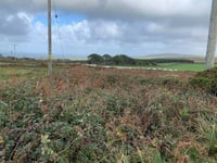 Land restored to West Cornwall common 