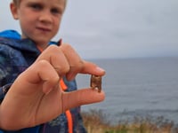 Tooth find uncovers ancient burial site