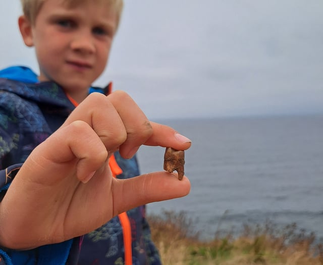 Tooth find uncovers ancient burial site