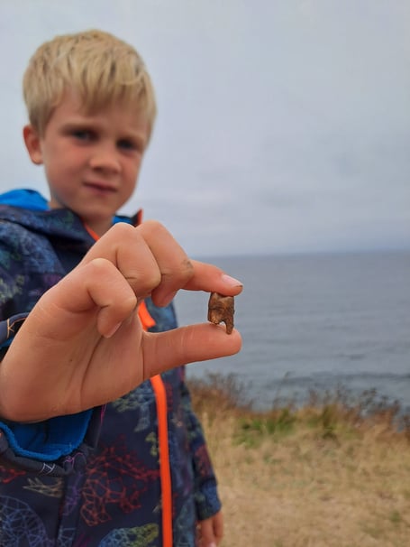 ***ONE TIME USE ONLY IN RELATION TO THIS STORY***

***MANDATORY CREDIT:National Trust-Lydia Allt***

Seven-year-old Arthur Emonson from Somerset with the tooth he found at Lizard Point in Cornwall. Hoping it was a shark tooth he showed it to National Trust volunteer, Ken Wallace â who happened to be a retired dentist â and recognised it as human. National Trust archaeologists have since uncovered the remains of at least one individual, with evidence of more, and they are investigating the site further. Exciting excavations are underway after a young boy discovered a historic tooth - which was identified as human.Arthur Emonson, 7, was visiting a popular spot in Cornwall with his family when he found what he thought to be a shark tooth. But when he showed the tooth to National Trust volunteer Ken Wallace, a retired dentist, Ken immediately recognised it as human.Investigations at the National Trustâs Lizard Point by archaeologist Jim Parry have so far uncovered the remains of at least one individual, with evidence of more being exposed by erosion. Initially it was thought that at least one of the bodies was prehistoric. However, further excavations have shown this is a very complex site, with more work needed to understand how many people are represented and the periods of their burial, explained National Trust volunteers.

