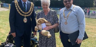 Teddy bears descend on park for special event