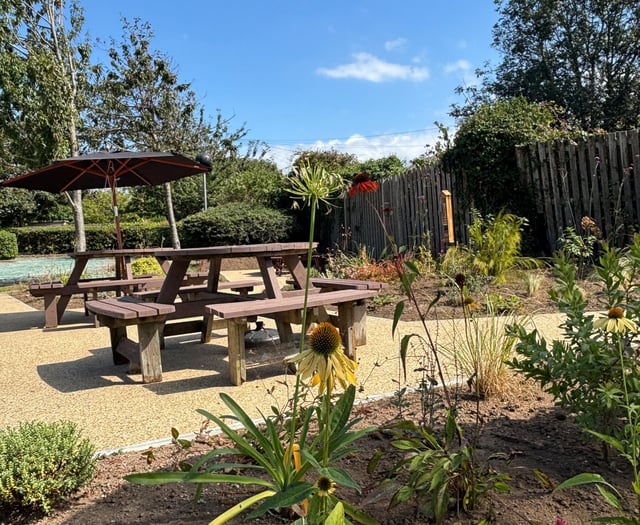 Innovation centre unveils new wildlife friendly garden