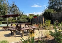 Innovation centre unveils new wildlife friendly garden