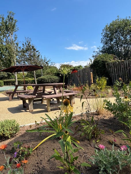 Pool Innovation Centre new garden space.